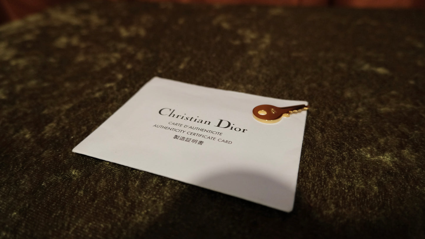 Christian Dior Ostrich Double Saddle Bowler Bag