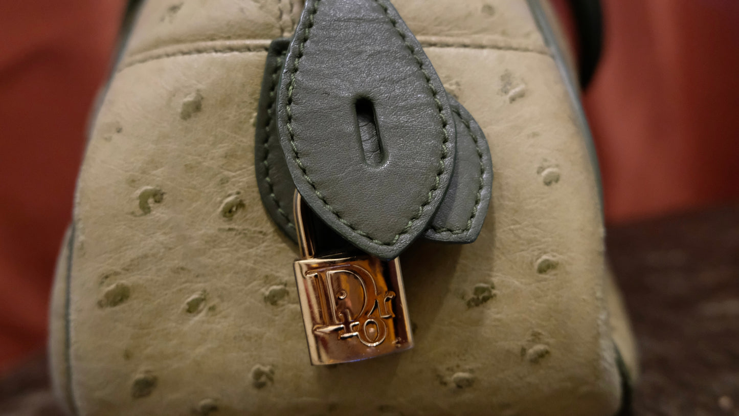 Christian Dior Ostrich Double Saddle Bowler Bag