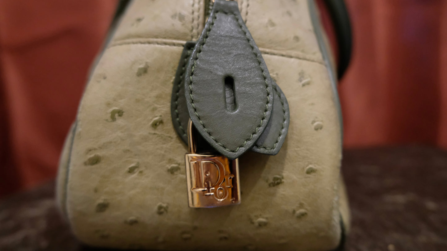 Christian Dior Ostrich Double Saddle Bowler Bag