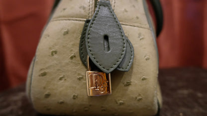 Christian Dior Ostrich Double Saddle Bowler Bag