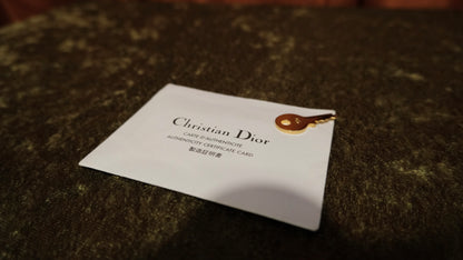 Christian Dior Ostrich Double Saddle Bowler Bag